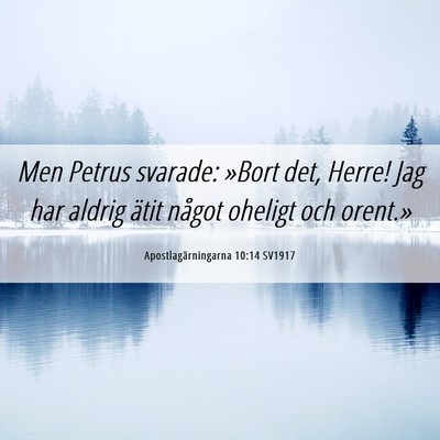 Picture 06 - Apostlagärningarna 10:14 SV1917 - Men Petrus svarade: »Bort det, Herre! Jag har - Bible Verse Picture