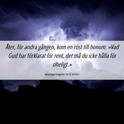 Picture 06 - Apostlagärningarna 10:15 SV1917 - Åter, för andra gången, kom en röst till - Bible Verse Picture