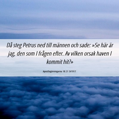 Picture 06 - Apostlagärningarna 10:21 SV1917 - Då steg Petrus ned till männen och sade: »Se - Bible Verse Picture
