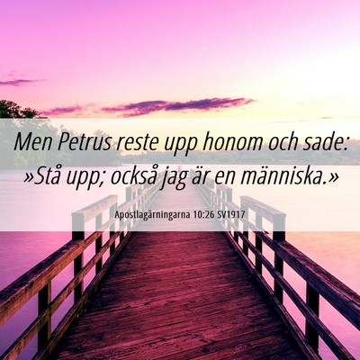Picture 06 - Apostlagärningarna 10:26 SV1917 - Men Petrus reste upp honom och sade: »Stå upp; - Bible Verse Picture