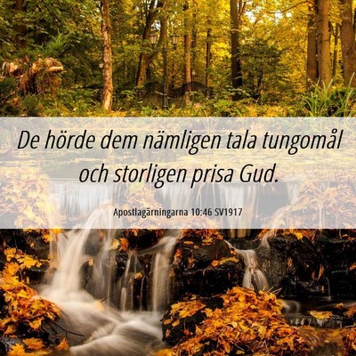 Picture 06 - Apostlagärningarna 10:46 SV1917 - De hörde dem nämligen tala tungomål och - Bible Verse Picture