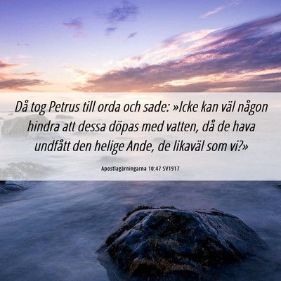 Picture 06 - Apostlagärningarna 10:47 SV1917 - Då tog Petrus till orda och sade: »Icke kan - Bible Verse Picture