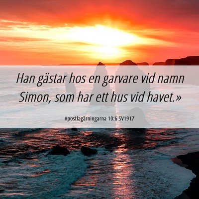 Picture 06 - Apostlagärningarna 10:6 SV1917 - Han gästar hos en garvare vid namn Simon, som - Bible Verse Picture