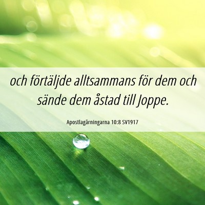 Picture 06 - Apostlagärningarna 10:8 SV1917 - och förtäljde alltsammans för dem och sände - Bible Verse Picture