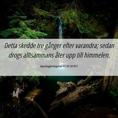 Picture 06 - Apostlagärningarna 11:10 SV1917 - Detta skedde tre gånger efter varandra; sedan - Bible Verse Picture