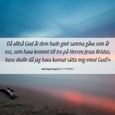 Picture 06 - Apostlagärningarna 11:17 SV1917 - Då alltså Gud åt dem hade givit samma gåva - Bible Verse Picture