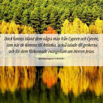 Picture 06 - Apostlagärningarna 11:20 SV1917 - Dock funnos bland dem några män från Cypern - Bible Verse Picture