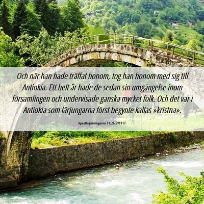 Picture 06 - Apostlagärningarna 11:26 SV1917 - Och när han hade träffat honom, tog han honom - Bible Verse Picture