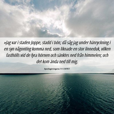 Picture 06 - Apostlagärningarna 11:5 SV1917 - »Jag var i staden Joppe, stadd i bön; då såg - Bible Verse Picture