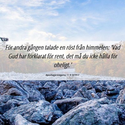 Picture 06 - Apostlagärningarna 11:9 SV1917 - För andra gången talade en röst från - Bible Verse Picture