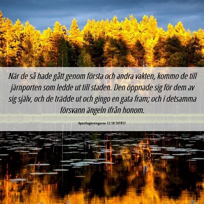Picture 06 - Apostlagärningarna 12:10 SV1917 - När de så hade gått genom första och andra - Bible Verse Picture