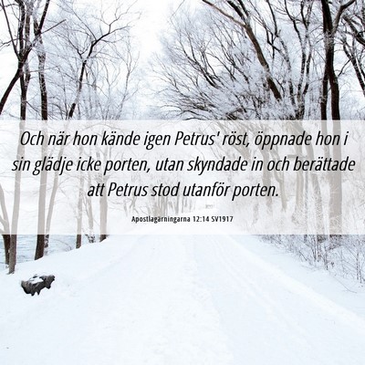 Picture 06 - Apostlagärningarna 12:14 SV1917 - Och när hon kände igen Petrus' röst, öppnade - Bible Verse Picture