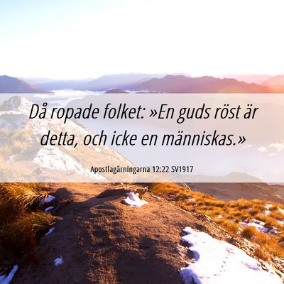 Picture 06 - Apostlagärningarna 12:22 SV1917 - Då ropade folket: »En guds röst är detta, och - Bible Verse Picture