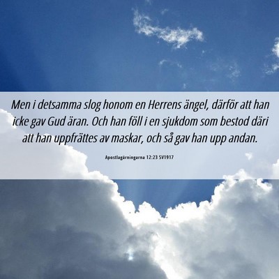 Picture 06 - Apostlagärningarna 12:23 SV1917 - Men i detsamma slog honom en Herrens ängel, - Bible Verse Picture