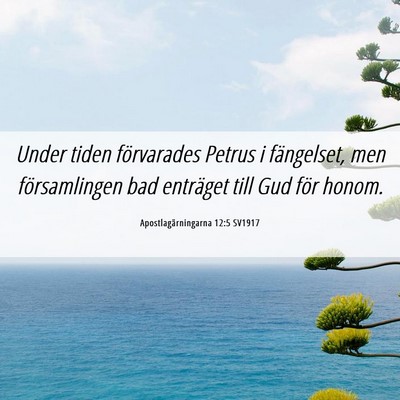 Picture 06 - Apostlagärningarna 12:5 SV1917 - Under tiden förvarades Petrus i fängelset, men - Bible Verse Picture