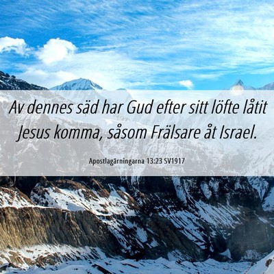 Picture 06 - Apostlagärningarna 13:23 SV1917 - Av dennes säd har Gud efter sitt löfte låtit - Bible Verse Picture
