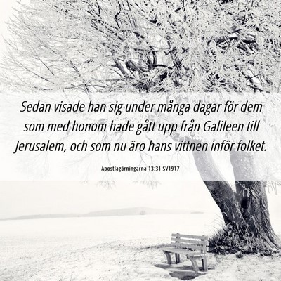 Picture 06 - Apostlagärningarna 13:31 SV1917 - Sedan visade han sig under många dagar för dem - Bible Verse Picture