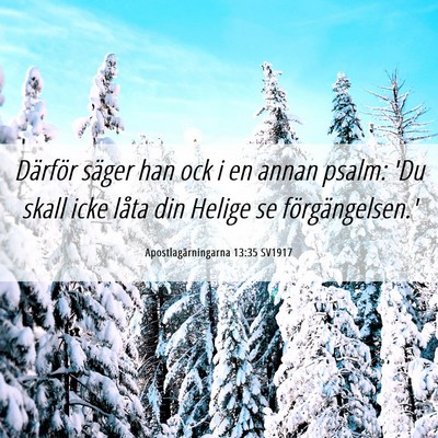 Picture 06 - Apostlagärningarna 13:35 SV1917 - Därför säger han ock i en annan psalm: 'Du - Bible Verse Picture