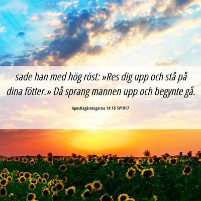 Picture 06 - Apostlagärningarna 14:10 SV1917 - sade han med hög röst: »Res dig upp och stå - Bible Verse Picture