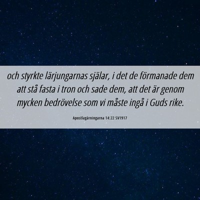 Picture 06 - Apostlagärningarna 14:22 SV1917 - och styrkte lärjungarnas själar, i det de - Bible Verse Picture