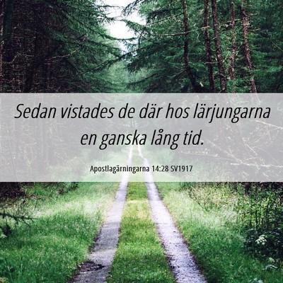 Picture 06 - Apostlagärningarna 14:28 SV1917 - Sedan vistades de där hos lärjungarna en ganska - Bible Verse Picture
