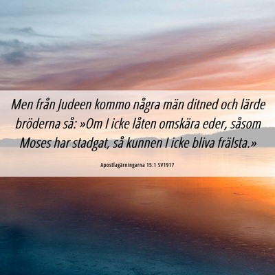 Picture 06 - Apostlagärningarna 15:1 SV1917 - Men från Judeen kommo några män ditned och - Bible Verse Picture