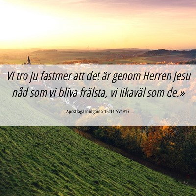 Picture 06 - Apostlagärningarna 15:11 SV1917 - Vi tro ju fastmer att det är genom Herren Jesu - Bible Verse Picture