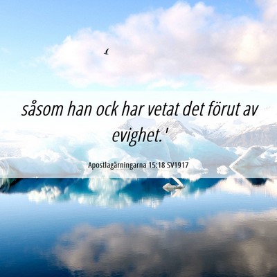 Picture 06 - Apostlagärningarna 15:18 SV1917 - såsom han ock har vetat det förut av - Bible Verse Picture