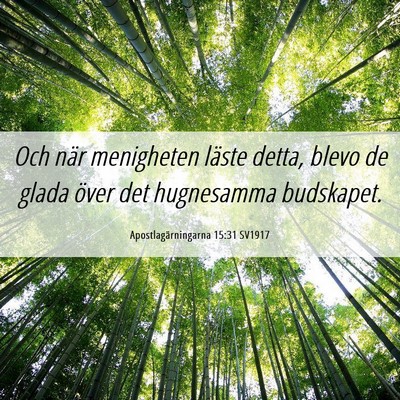 Picture 06 - Apostlagärningarna 15:31 SV1917 - Och när menigheten läste detta, blevo de glada - Bible Verse Picture