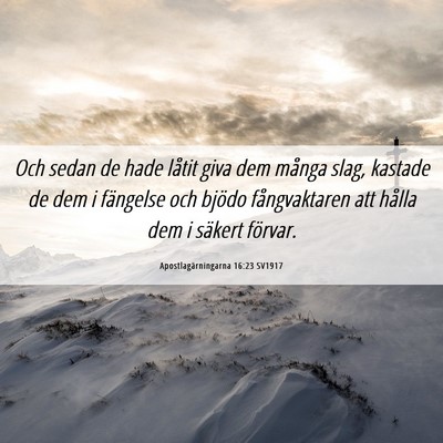 Picture 06 - Apostlagärningarna 16:23 SV1917 - Och sedan de hade låtit giva dem många slag, - Bible Verse Picture