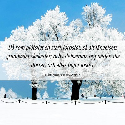 Picture 06 - Apostlagärningarna 16:26 SV1917 - Då kom plötsligt en stark jordstöt, så att - Bible Verse Picture