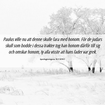 Picture 06 - Apostlagärningarna 16:3 SV1917 - Paulus ville nu att denne skulle fara med honom. - Bible Verse Picture