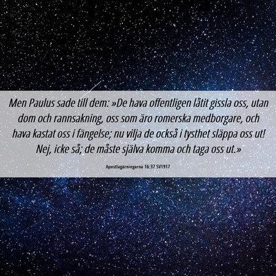 Picture 06 - Apostlagärningarna 16:37 SV1917 - Men Paulus sade till dem: »De hava offentligen - Bible Verse Picture