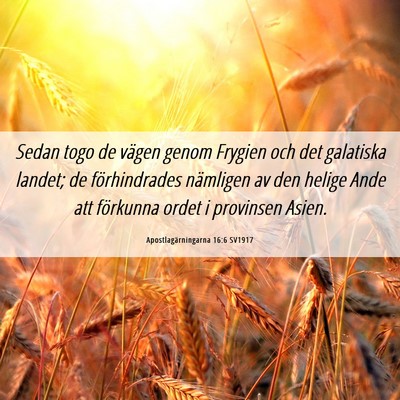 Picture 06 - Apostlagärningarna 16:6 SV1917 - Sedan togo de vägen genom Frygien och det - Bible Verse Picture