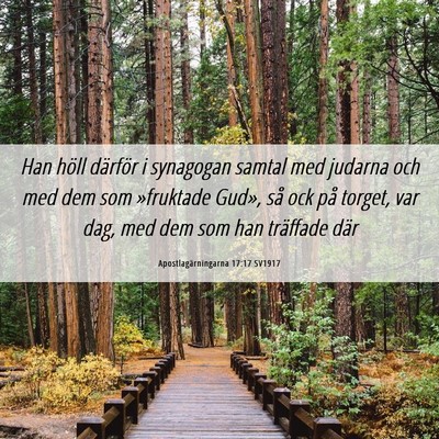 Picture 06 - Apostlagärningarna 17:17 SV1917 - Han höll därför i synagogan samtal med judarna - Bible Verse Picture