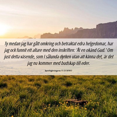 Picture 06 - Apostlagärningarna 17:23 SV1917 - Ty medan jag har gått omkring och betraktat edra - Bible Verse Picture
