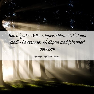 Picture 06 - Apostlagärningarna 19:3 SV1917 - Han frågade: »Vilken döpelse bleven I då - Bible Verse Picture