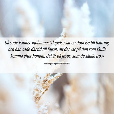 Picture 06 - Apostlagärningarna 19:4 SV1917 - Då sade Paulus: »Johannes' döpelse var en - Bible Verse Picture