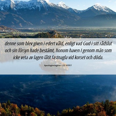Picture 06 - Apostlagärningarna 2:23 SV1917 - denne som blev given i edert våld, enligt vad - Bible Verse Picture