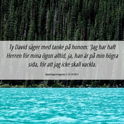 Picture 06 - Apostlagärningarna 2:25 SV1917 - Ty David säger med tanke på honom: 'Jag har - Bible Verse Picture