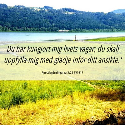 Picture 06 - Apostlagärningarna 2:28 SV1917 - Du har kungjort mig livets vägar; du skall - Bible Verse Picture