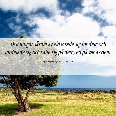 Picture 06 - Apostlagärningarna 2:3 SV1917 - Och tungor såsom av eld visade sig för dem och - Bible Verse Picture