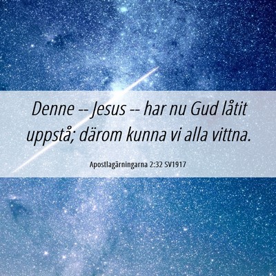 Picture 06 - Apostlagärningarna 2:32 SV1917 - Denne -- Jesus -- har nu Gud låtit uppstå; - Bible Verse Picture