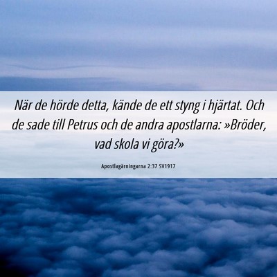 Picture 06 - Apostlagärningarna 2:37 SV1917 - När de hörde detta, kände de ett styng i - Bible Verse Picture
