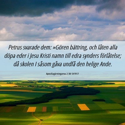 Picture 06 - Apostlagärningarna 2:38 SV1917 - Petrus svarade dem: »Gören bättring, och - Bible Verse Picture
