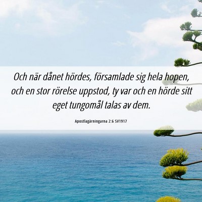 Picture 06 - Apostlagärningarna 2:6 SV1917 - Och när dånet hördes, församlade sig hela - Bible Verse Picture