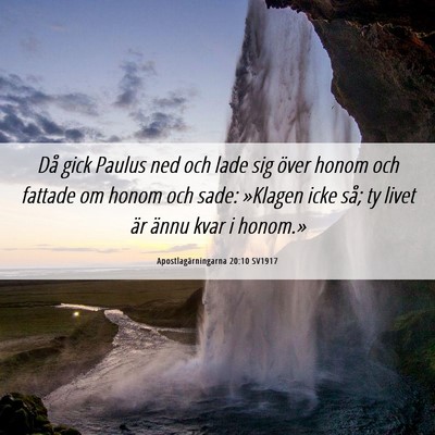 Picture 06 - Apostlagärningarna 20:10 SV1917 - Då gick Paulus ned och lade sig över honom och - Bible Verse Picture