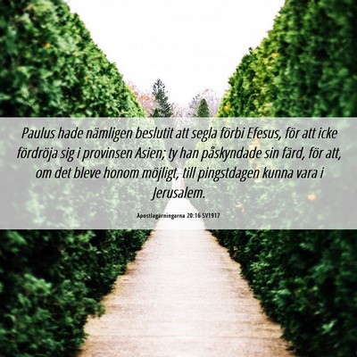 Picture 06 - Apostlagärningarna 20:16 SV1917 - Paulus hade nämligen beslutit att segla förbi - Bible Verse Picture