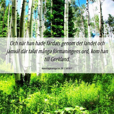 Picture 06 - Apostlagärningarna 20:2 SV1917 - Och när han hade färdats genom det landet och - Bible Verse Picture