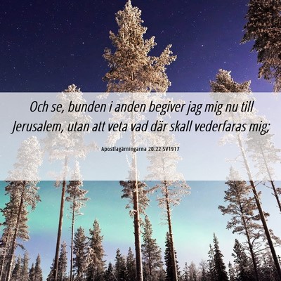 Picture 06 - Apostlagärningarna 20:22 SV1917 - Och se, bunden i anden begiver jag mig nu till - Bible Verse Picture